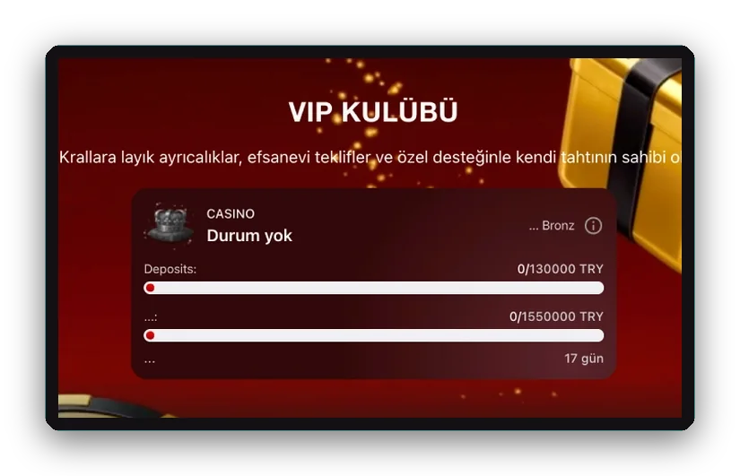 Seviye ve yatırım ilerlemesi Düzen: seviye ilerleme kartı ve yatırım ilerleme çubuğu olan VIP Kulübü
