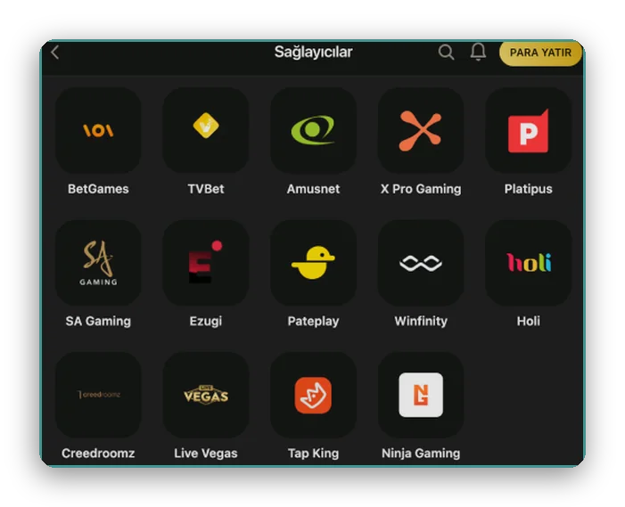Düzen: BetGames, Amusnet, Ezugi ve Tap King kutulu sağlayıcı ızgarası